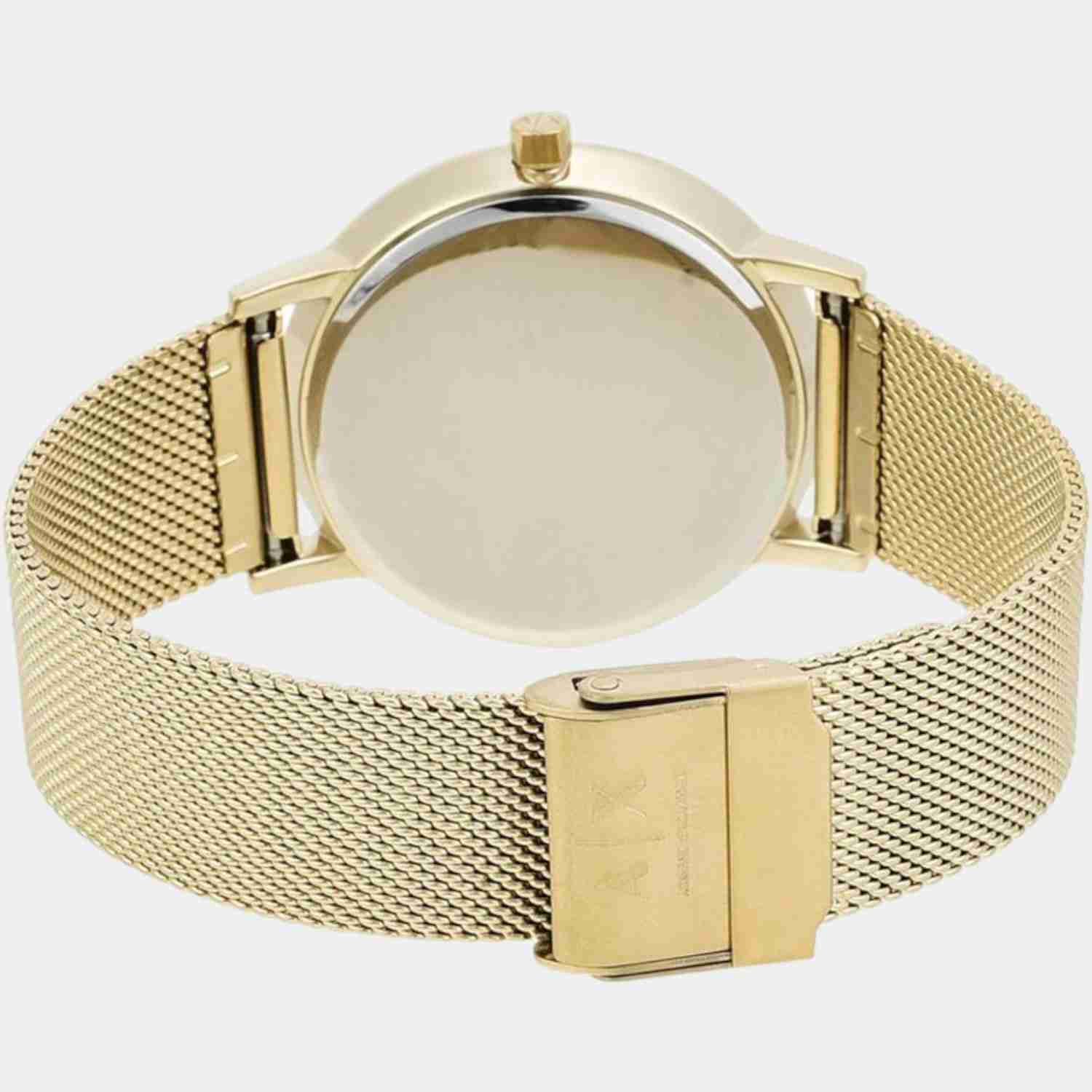 Lola Women Quartz Gold Dial Analog Stainless Steel Watch AX5536