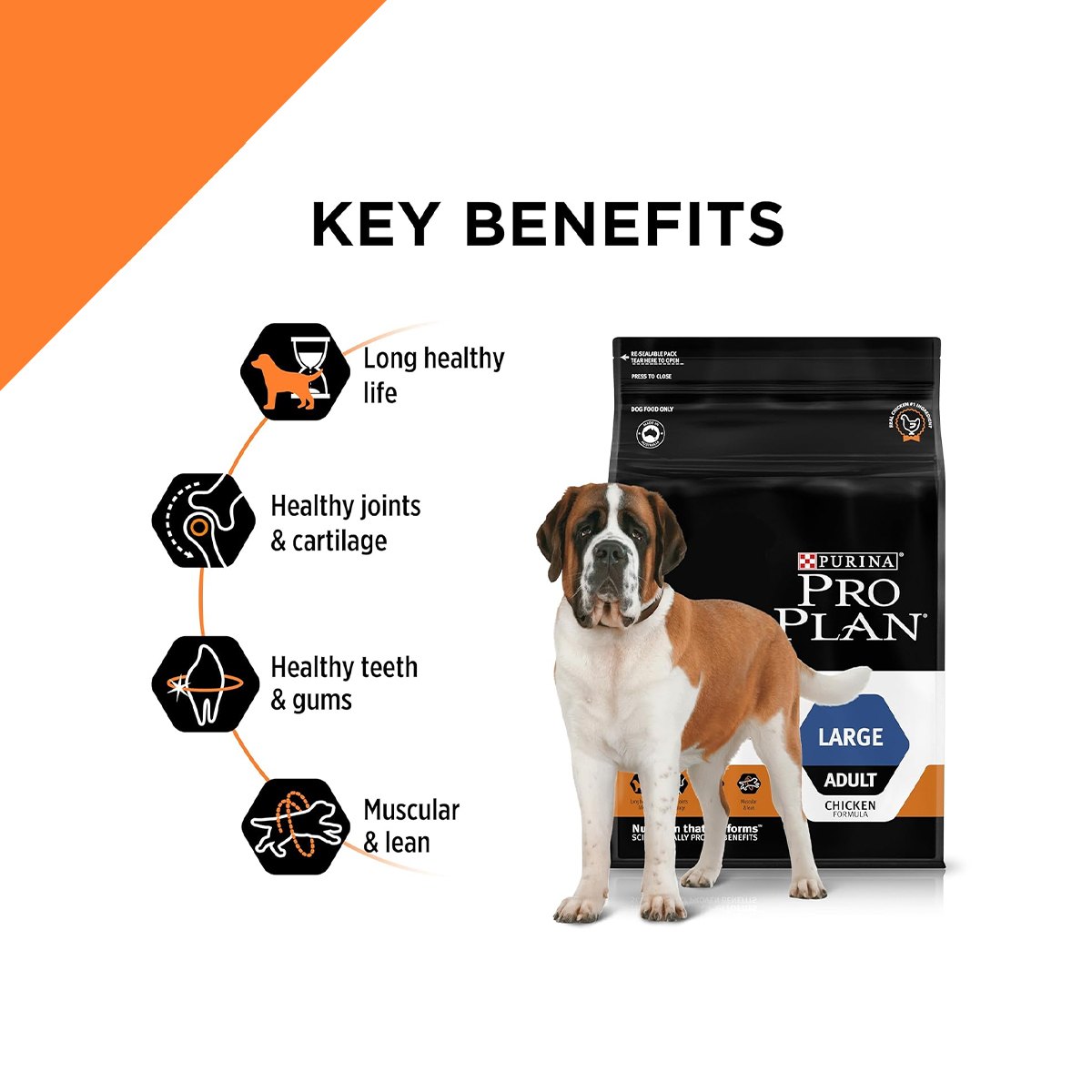Pro Plan Adult Dog Large breed Chicken 15 Kg