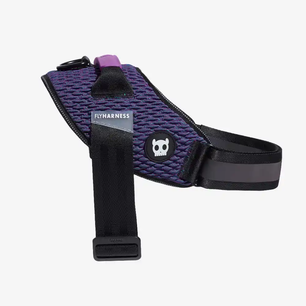 Zee.Dog Fly Harness Wicked for Dogs