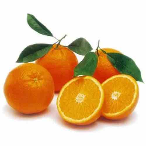 MILI KINNOW SQUASH