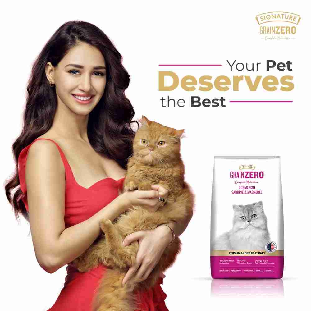Grain Zero Ocean Fish, Sardine and Mackerel Long Coat & Persian Adult Cat Dry Food