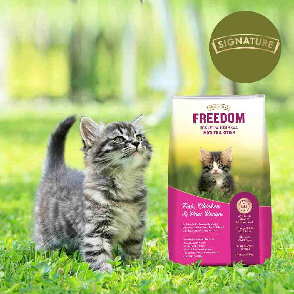 Freedom Fish, Chicken and Peas Recipe Kitten Dry Cat Food, 1.2 kg