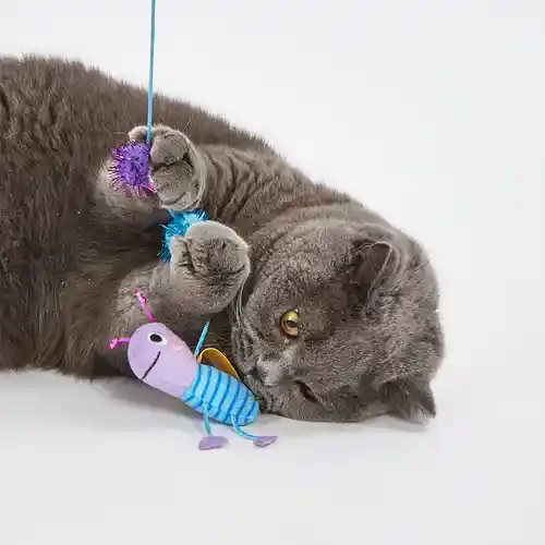 BarkButler Fofos Cat Wand Toy Replaceable Lets Fly Together