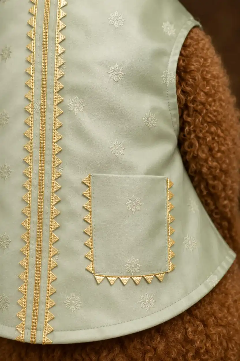 Pawsh Pet Pista Silk Sherwani for Dogs