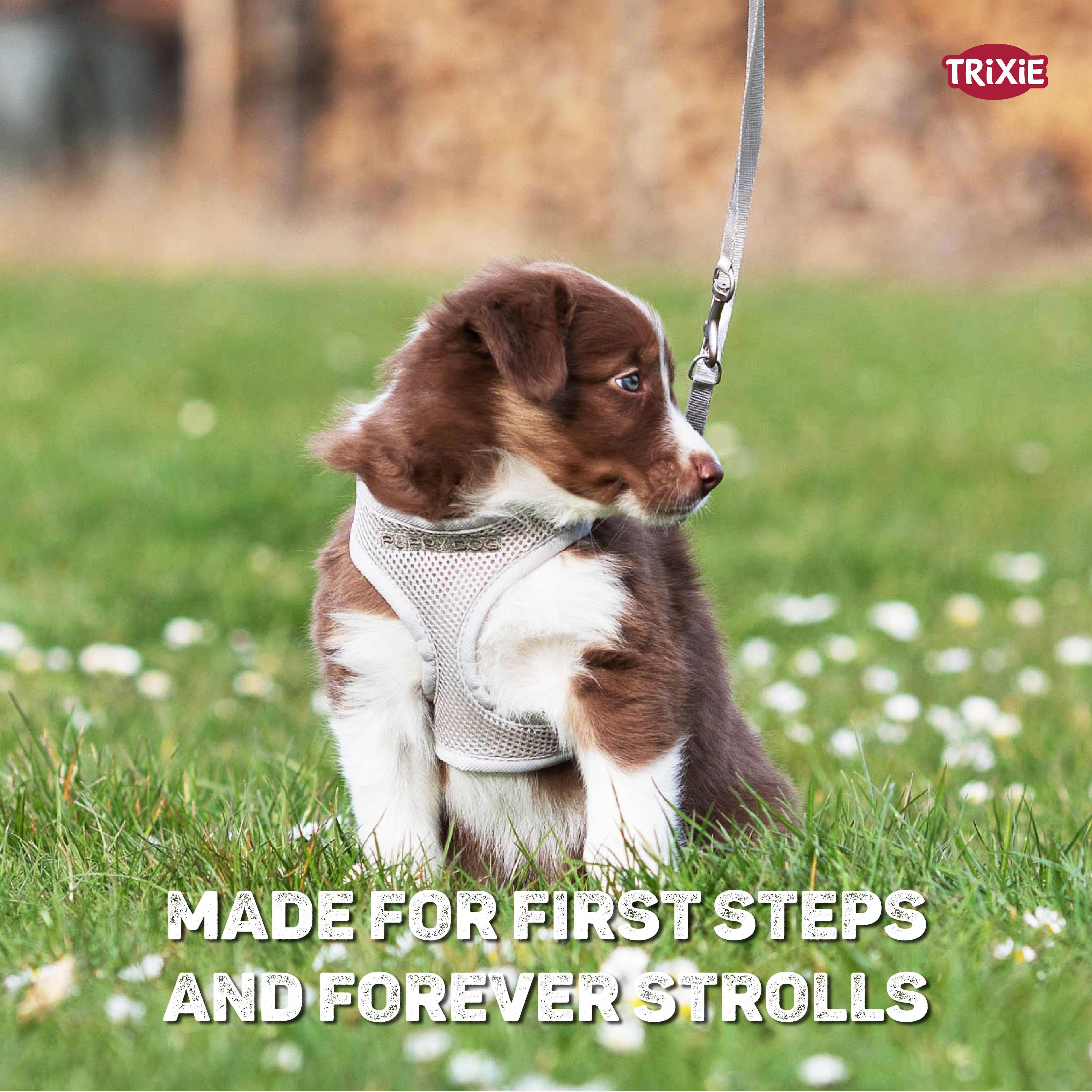 Trixie Junior Puppy Soft Harness with Leash (S–M: 26–34 cm/10 mm, 2.00 m, Light Grey)