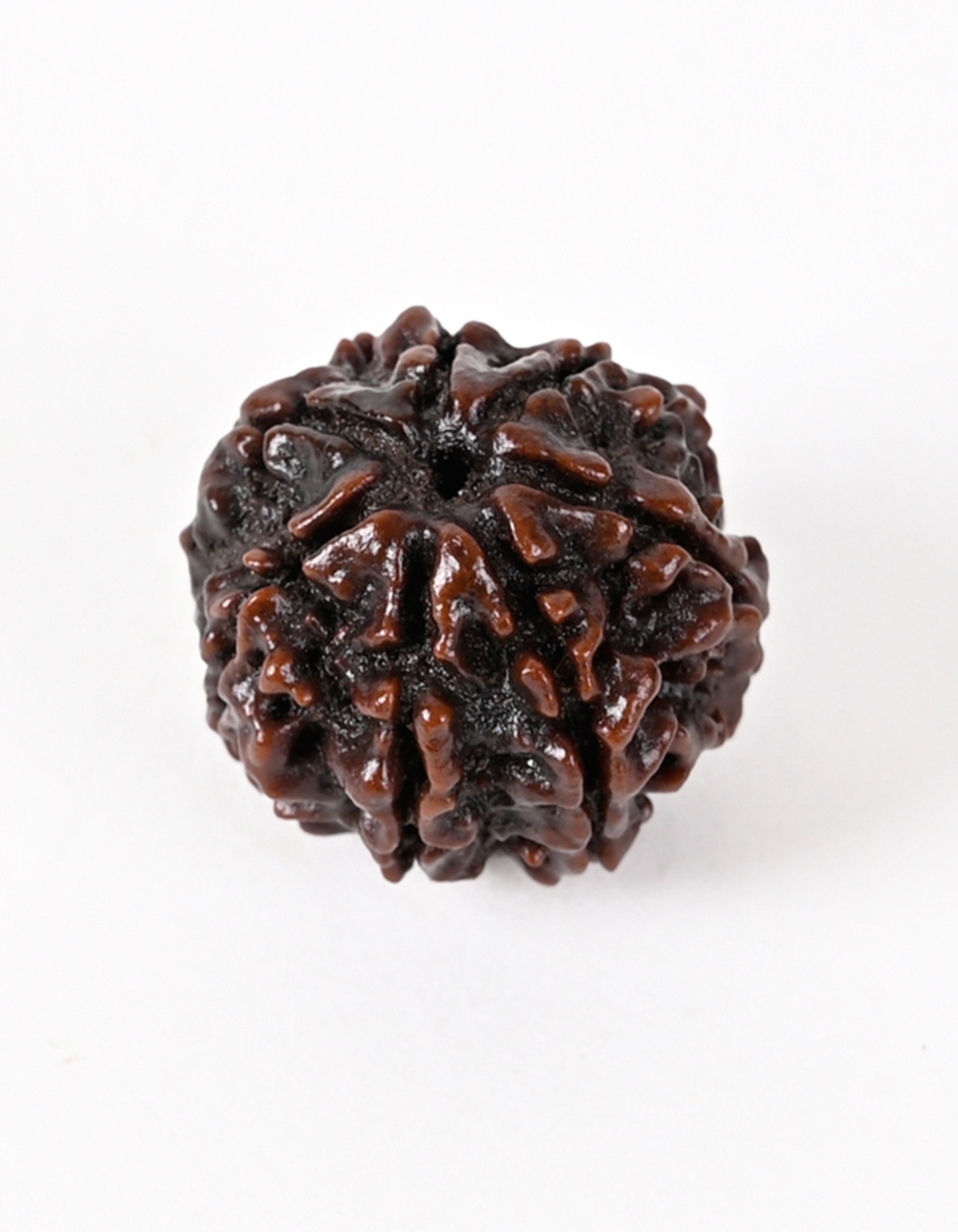 Shiv Ratan Kendra 7 Mukhi Nepal Origin Special Quality Rudraksha Bead - Spiritual & Financial Gain I 100% Natural & Genuine Quality - Lab Certified