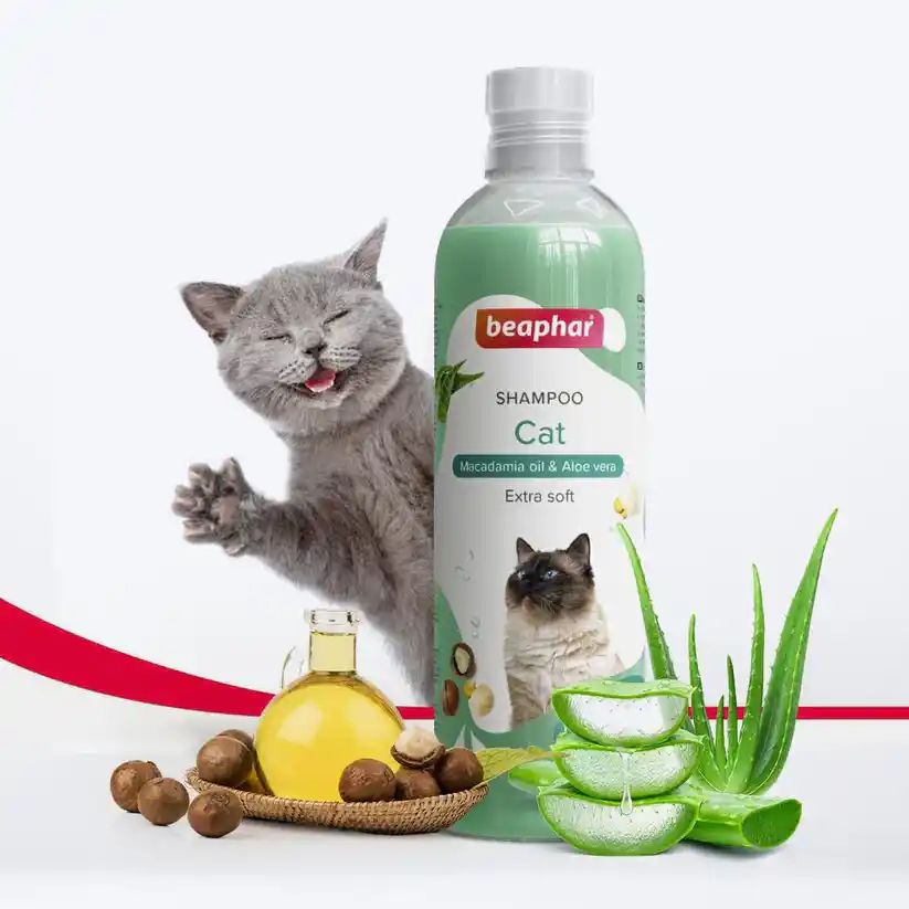 Beaphar Macadamia Oil & Aloe Vera Cat Shampoo