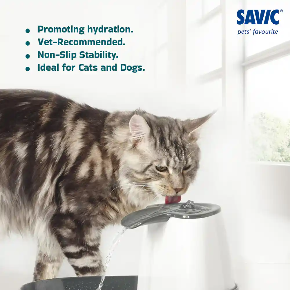 Savic Cascade White Anthracite Cat Water Fountain
