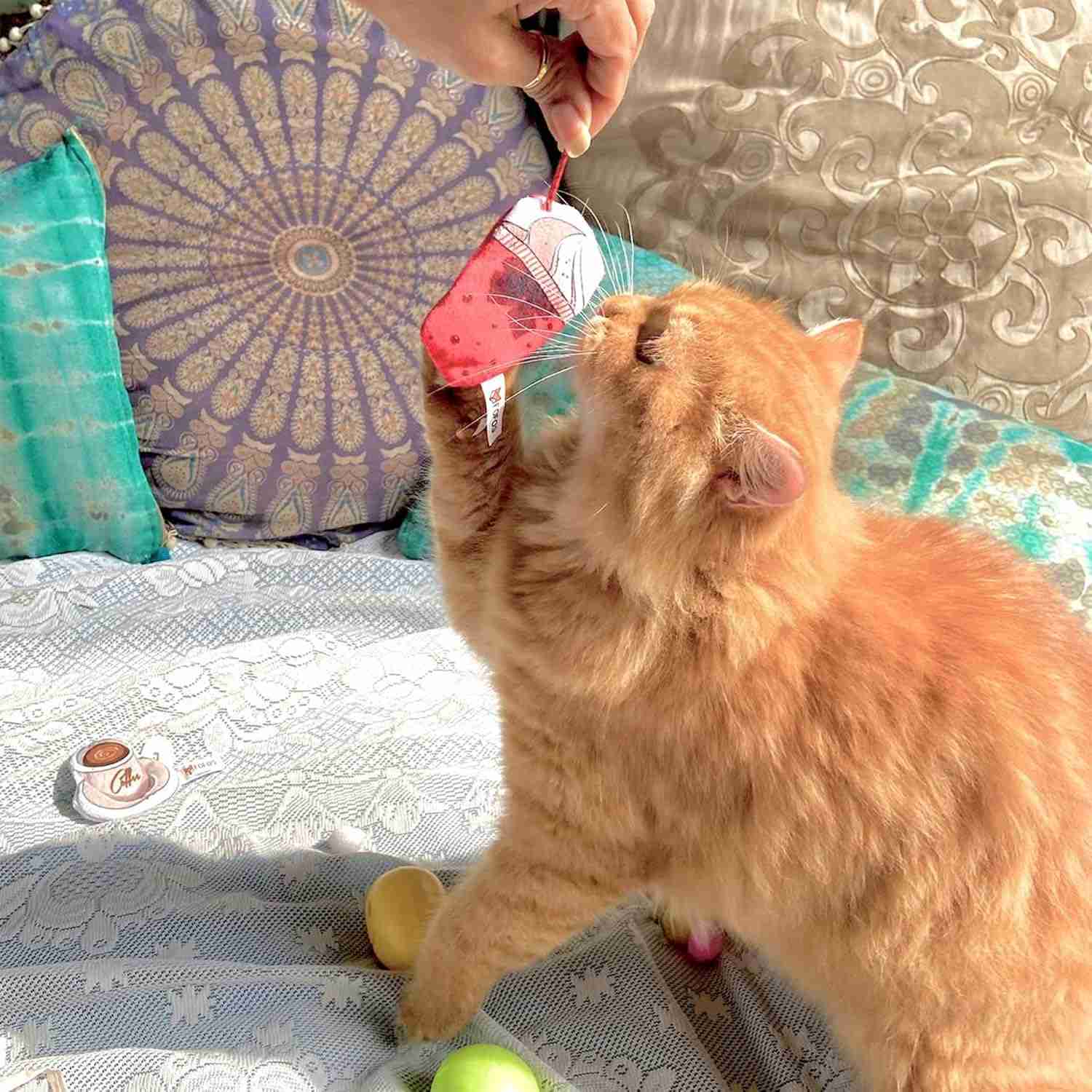 Barkbutler Fofos Yummy Diet Ice Cream and Coffee Toys for Cats, 6 CM