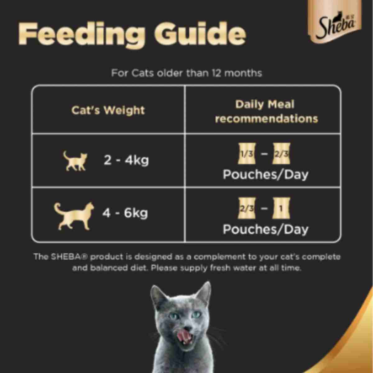 Sheba Rich Premium Chicken Loaf Wet Cat Food – 70 gm