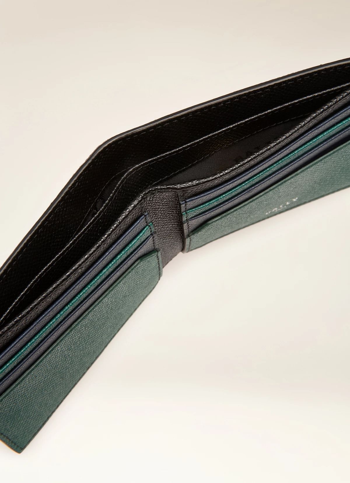 Bollen Leather Wallet In Green