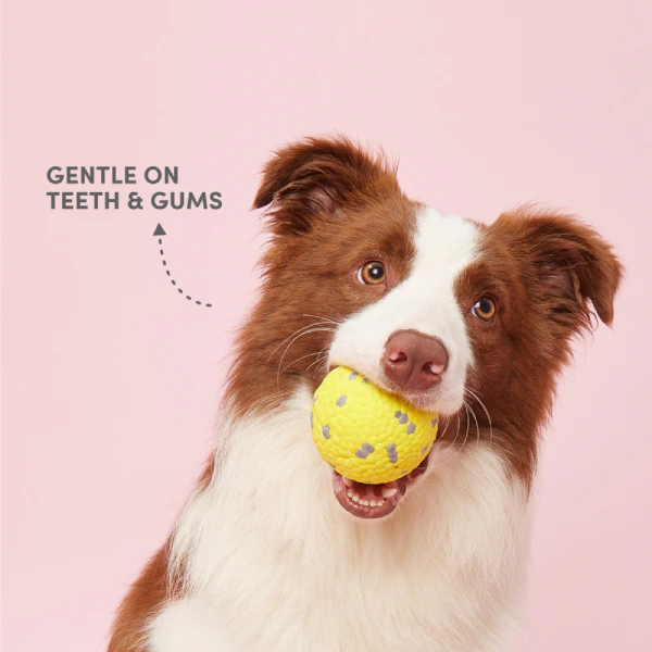 Barkbutler x Fofos Super Durable Bounce Ball Dog Toy – Small