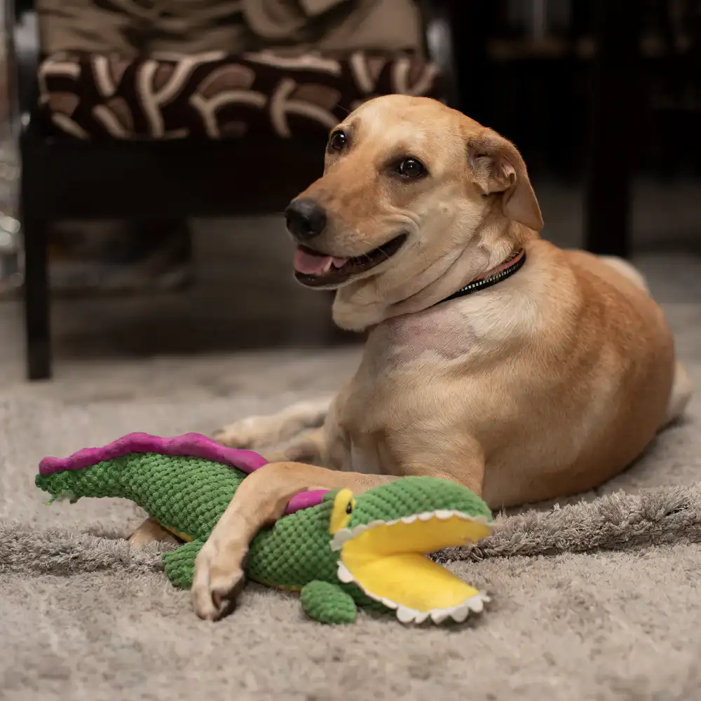 Barkbutler Aly The Gator Plush Toy for Dogs (Green)