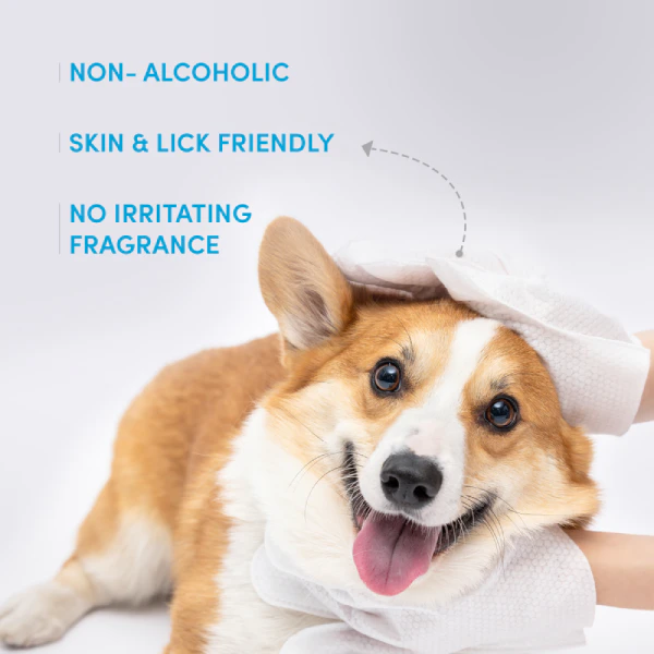 Barkbutler x Fofos Waterless Wash Gloves for Dog and Cat - Pack of 8