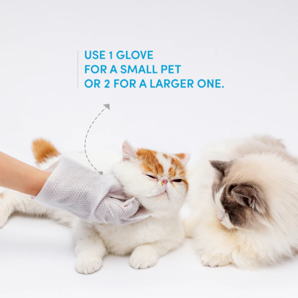 Barkbutler x Fofos Waterless Wash Gloves for Dog and Cat - Pack of 8