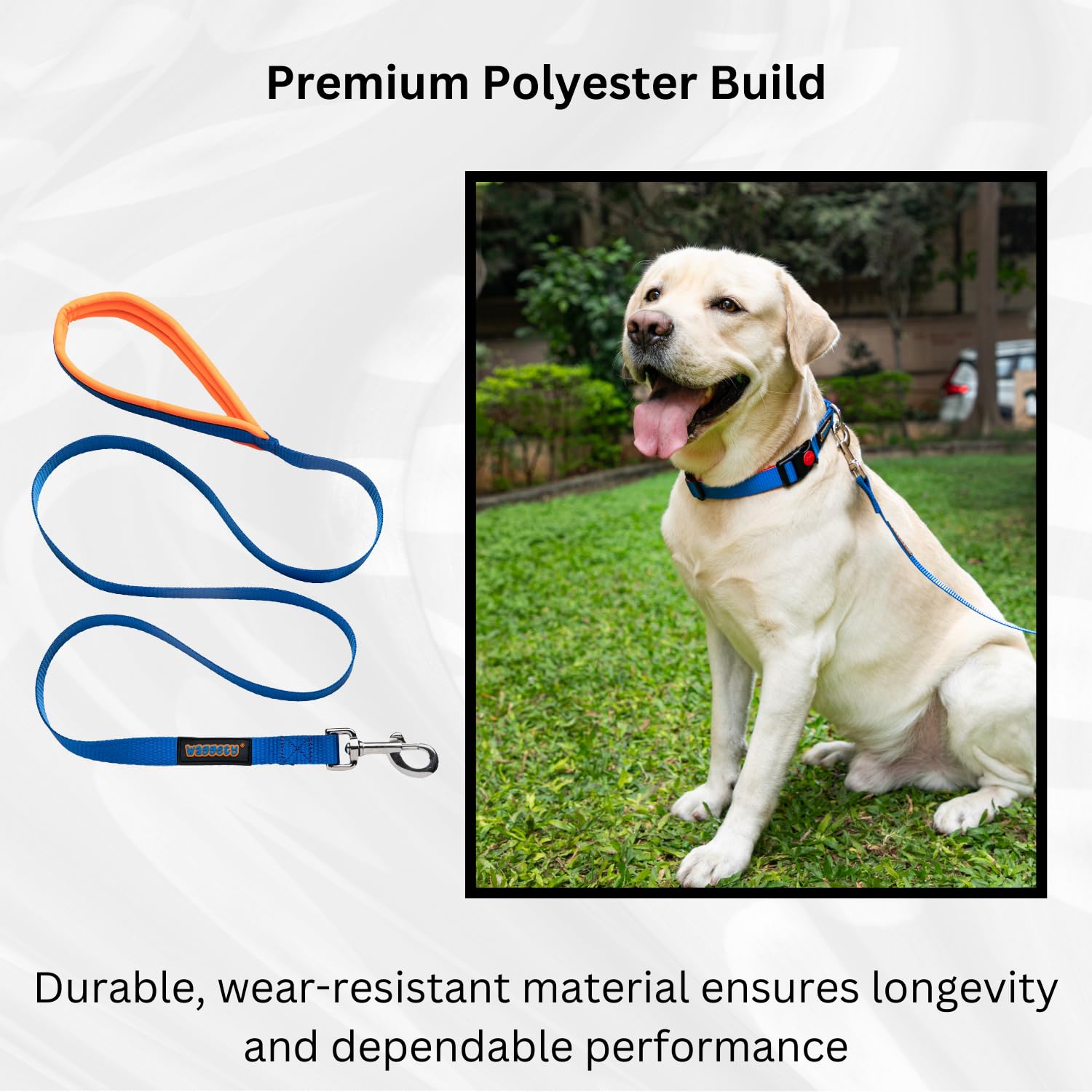 Waggety Dog Leash, Blue