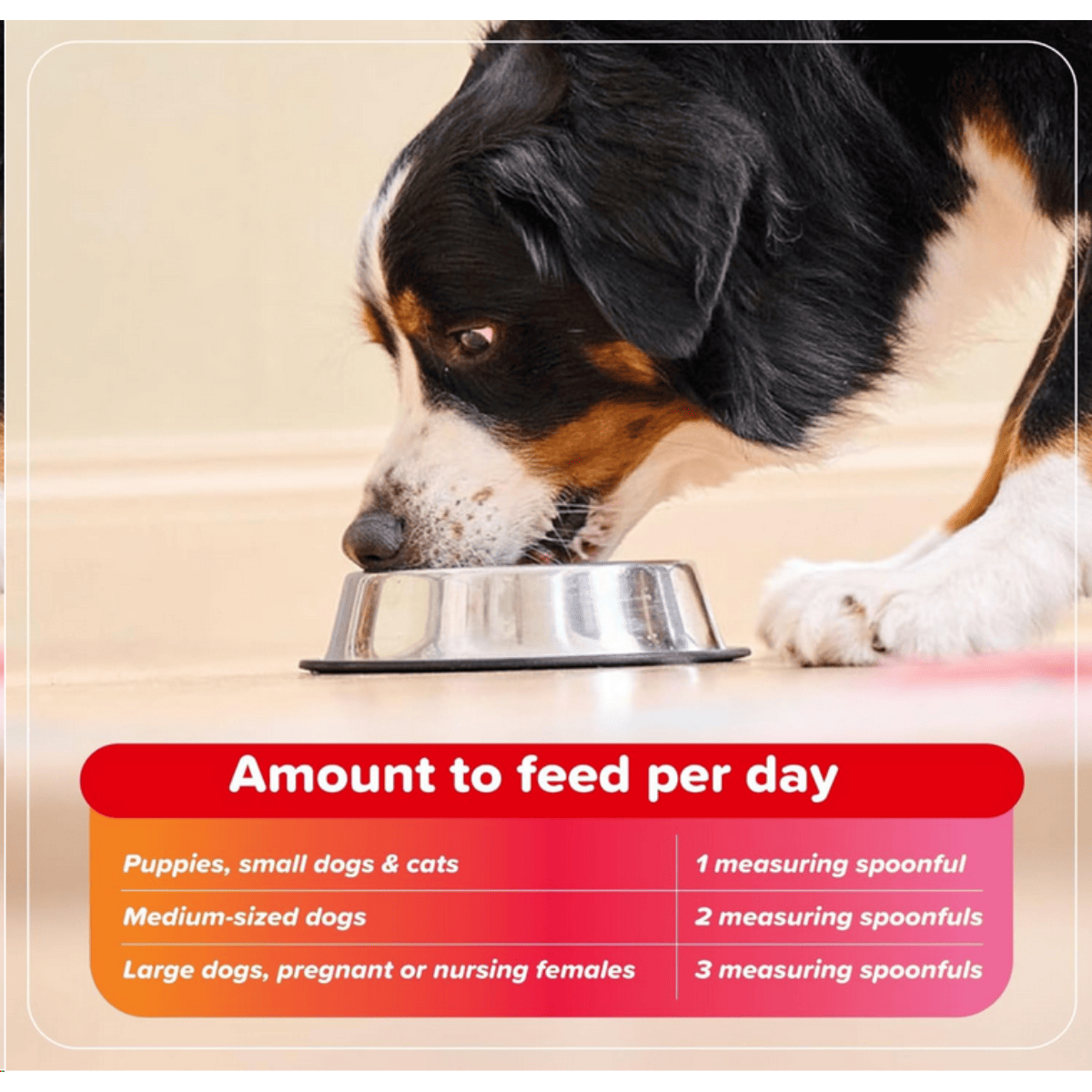 Beaphar Bone Builder Dog & Cat Supplement - 400g