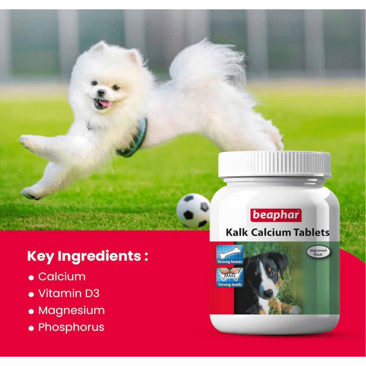 Beaphar Dog Kalk Tablets - 60 Tablets