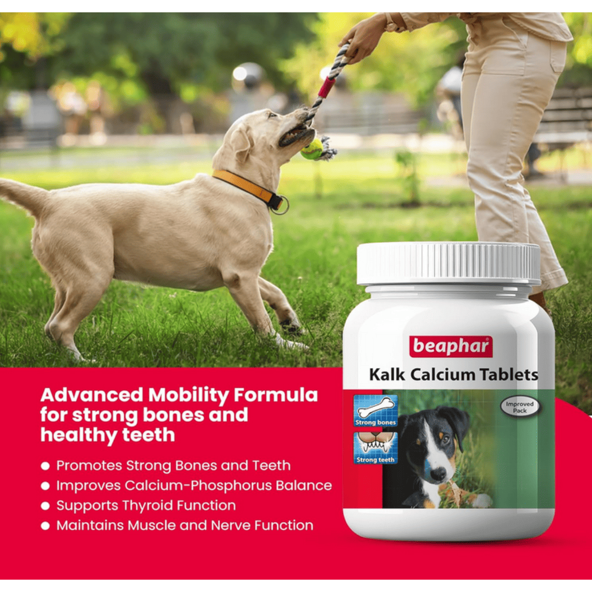 Beaphar Dog Kalk Tablets - 60 Tablets
