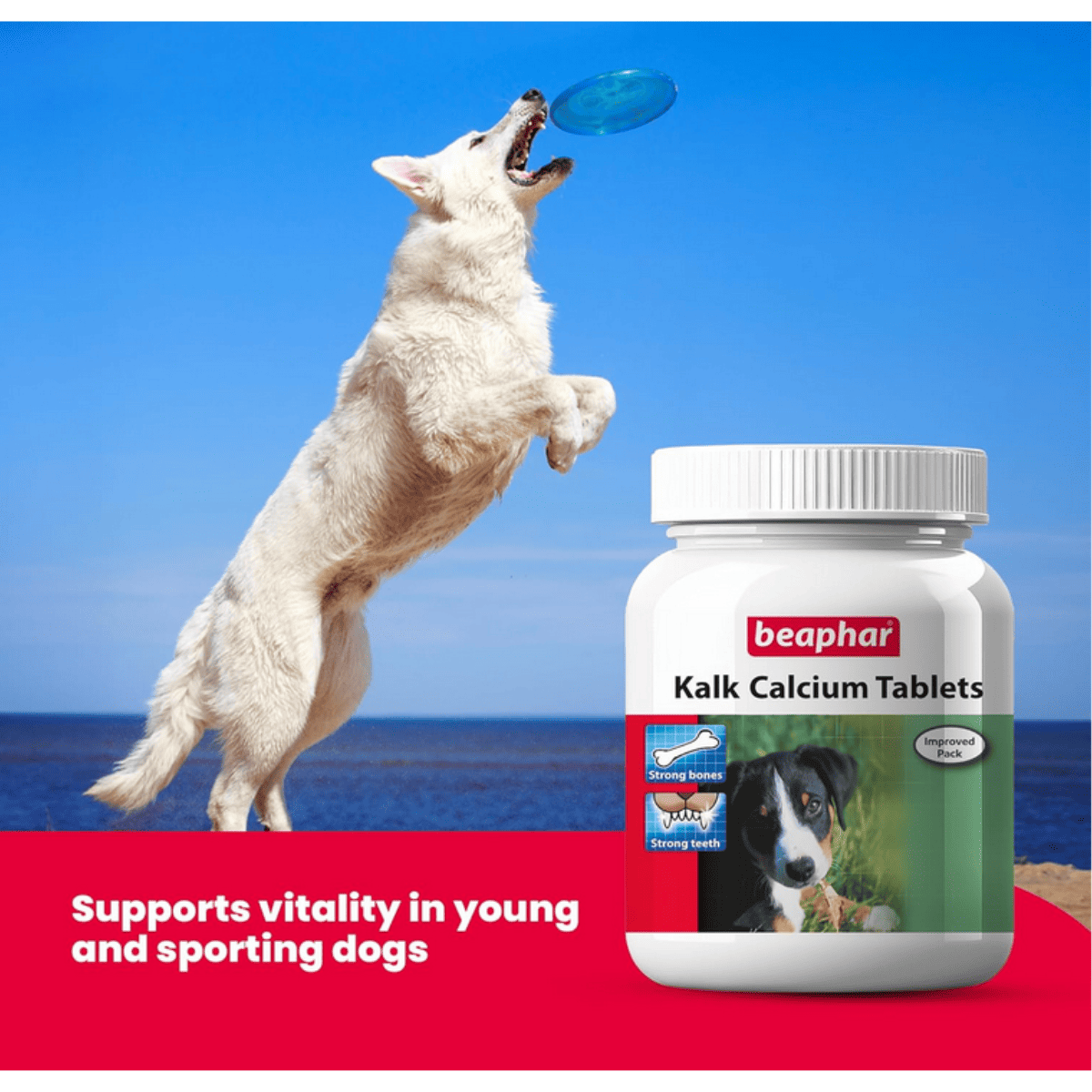 Beaphar Dog Kalk Tablets - 60 Tablets