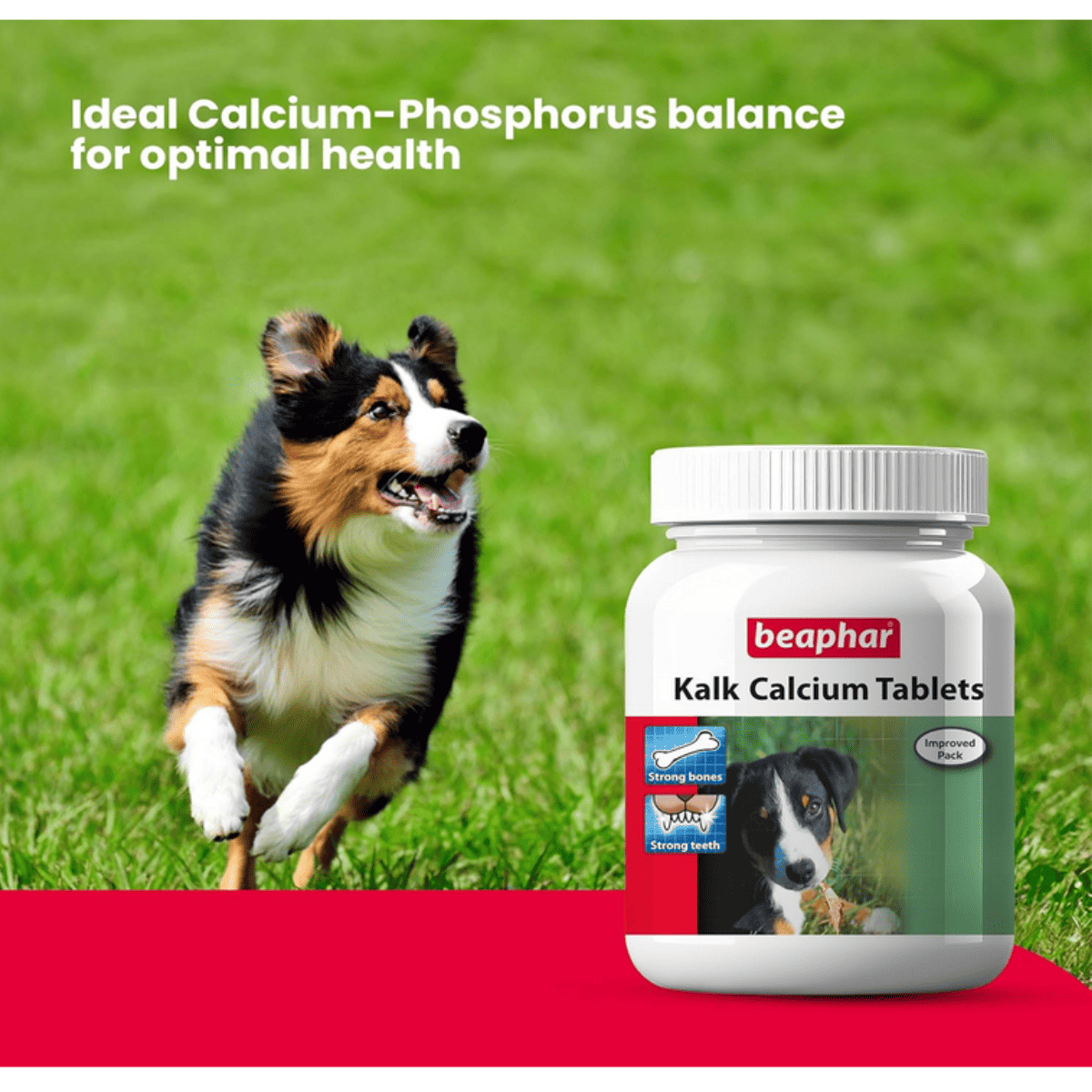 Beaphar Dog Kalk Tablets - 60 Tablets