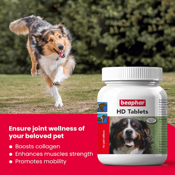 Beaphar HD Dog Supplement - 60 Tablets