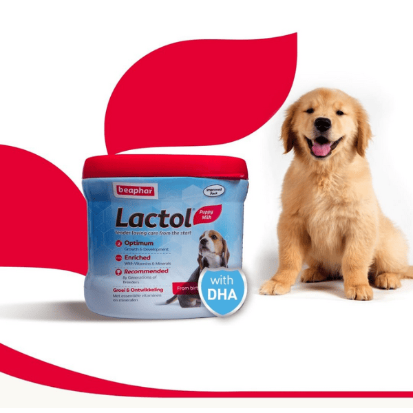 Beaphar Lactol Puppy Supplement - 200 g