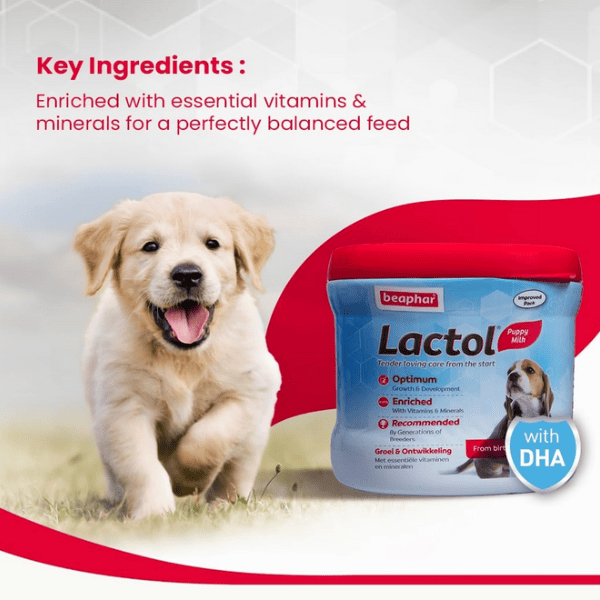 Beaphar Lactol Puppy Supplement - 200 g