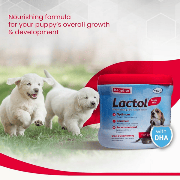 Beaphar Lactol Puppy Supplement - 200 g