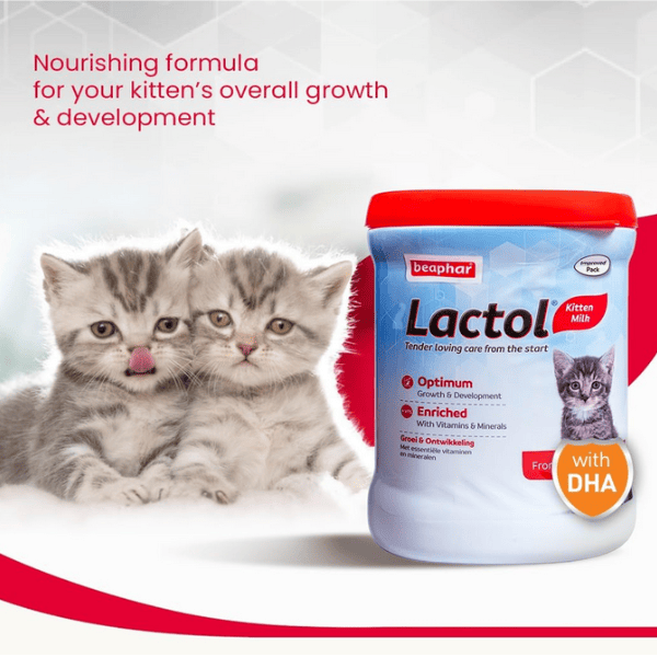 Beaphar Lactol Kitten Supplement - 200 g