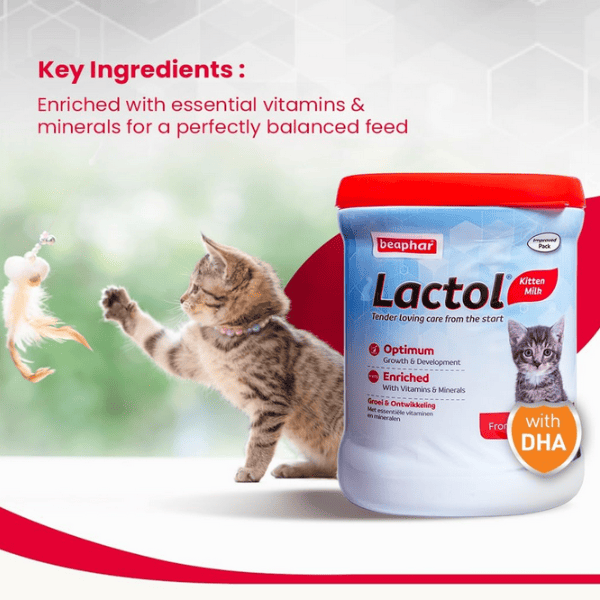 Beaphar Lactol Kitten Supplement - 200 g
