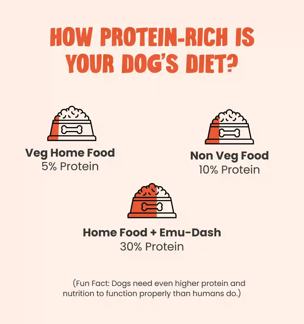 Human and the Beast EMU DASH Dry Food for Dogs, 100 g