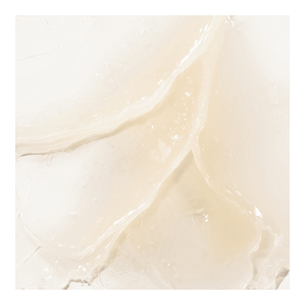 Squalane + Rose Vegan Lip Balm • 15g