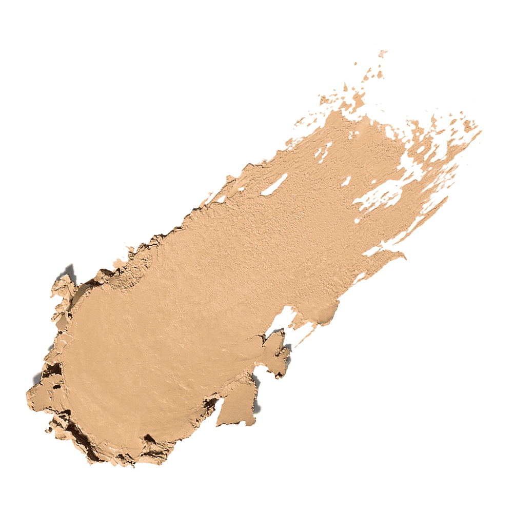 Skin Foundation Stick • Beige (N-042)
