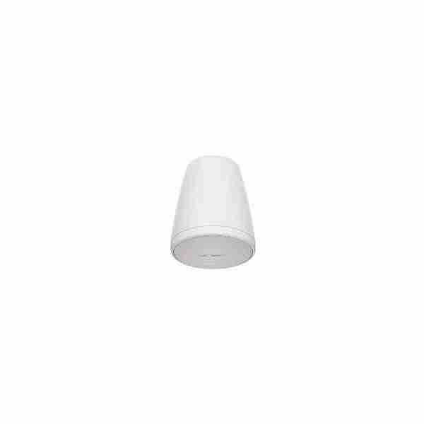Bose FreeSpace FS2P Pendant Loudspeaker for Commercial Audio