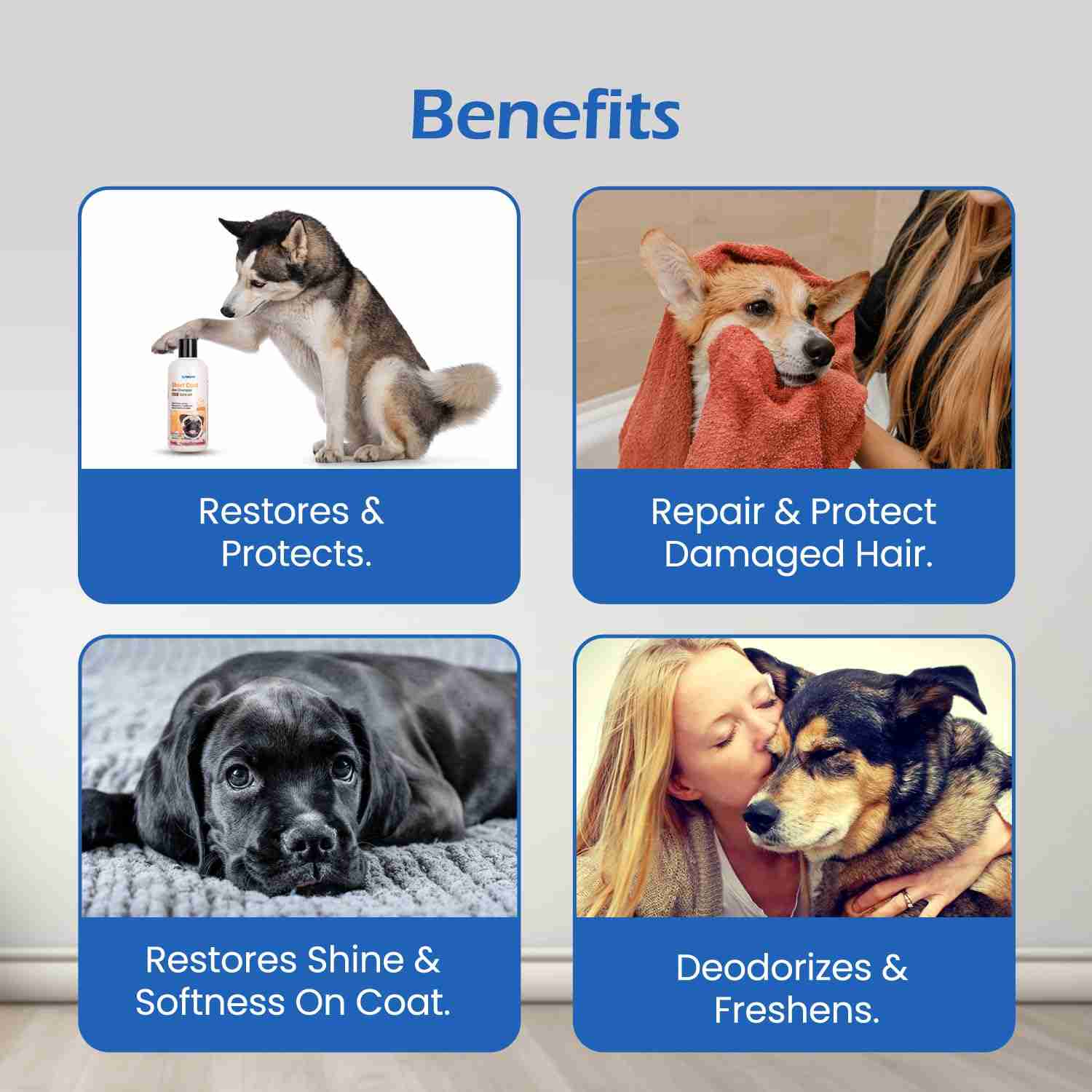 Forcans Short Coat Aloe Shampoo for Dogs