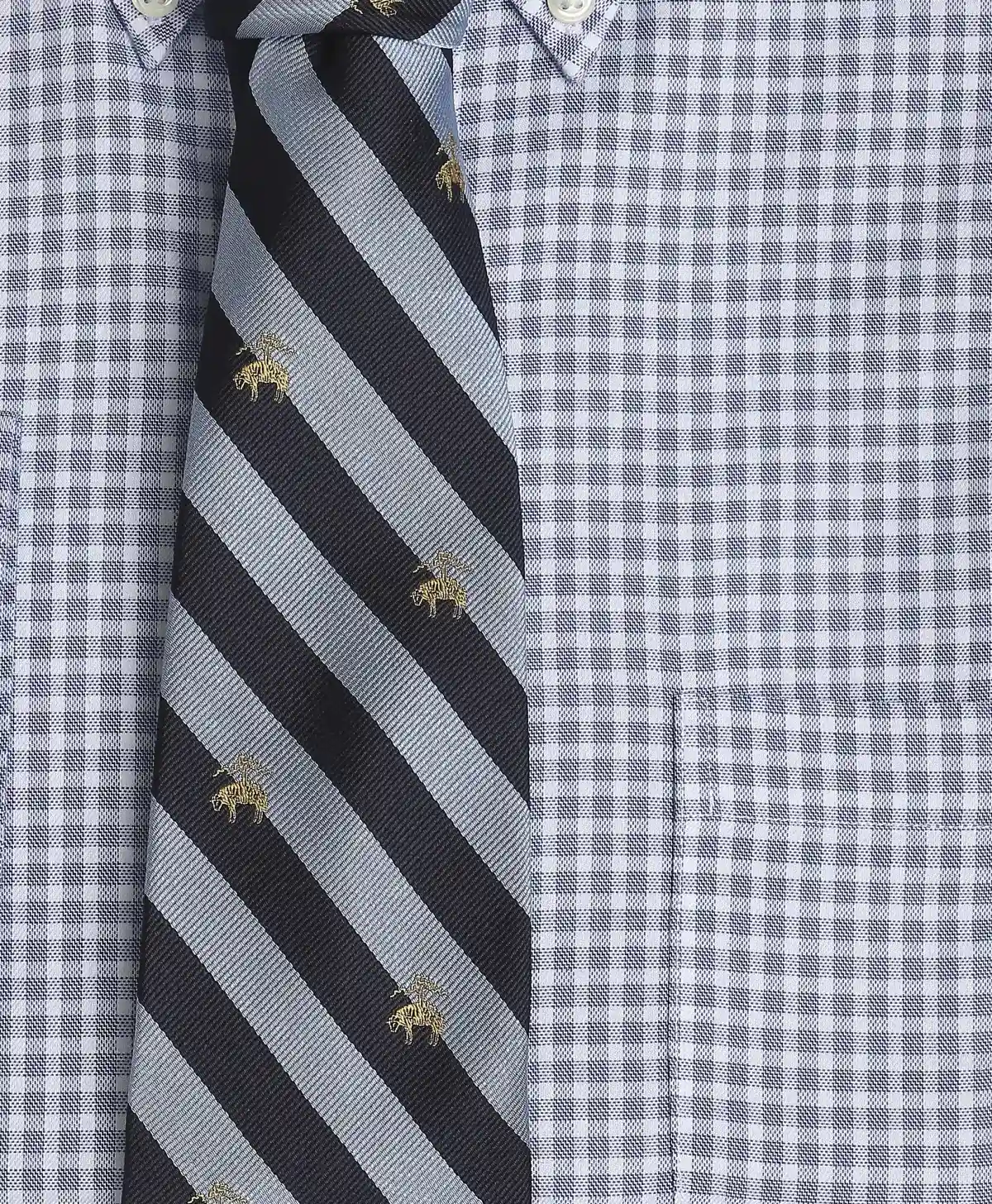 Non-Iron Twill Polo Button-Down Collar Checked Regular Fit Dress Shirt
