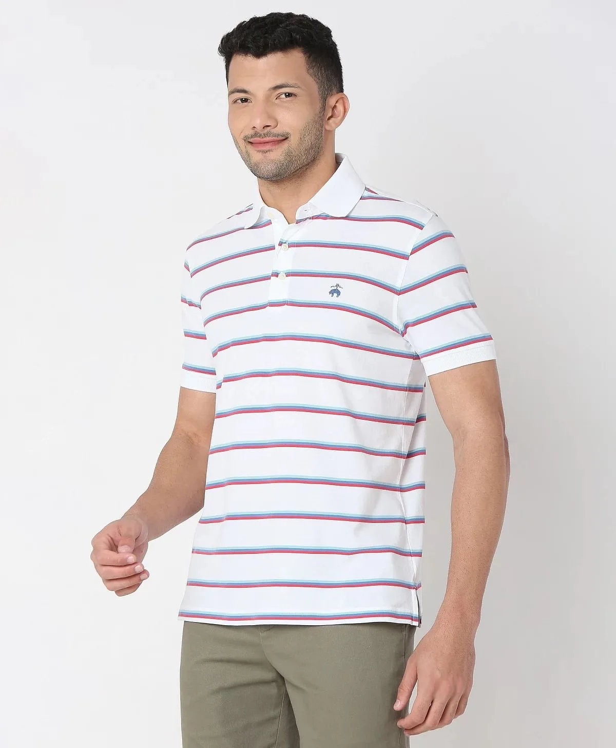 Striped Regular Fit Polo