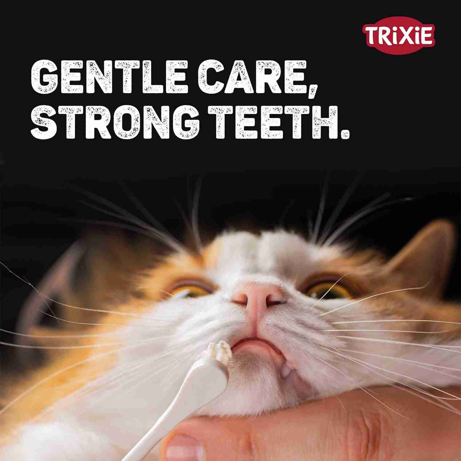 Trixie Toothbrush Set for Cats & Small Dogs, 15 cm, 4 Pcs, White