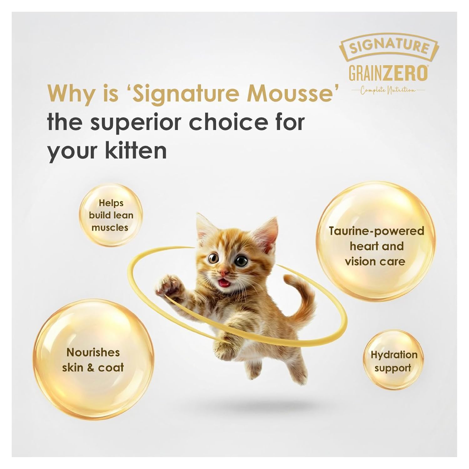 Signature Ocean Fish Mousse Kitten Cat Wet Food, 80g