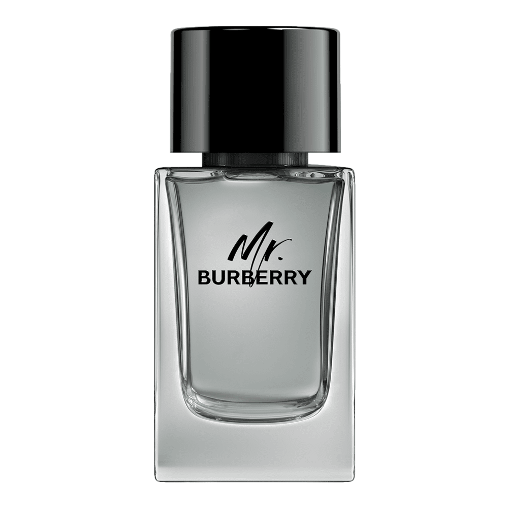 Mr Burberry Eau De Toilette • 100ml