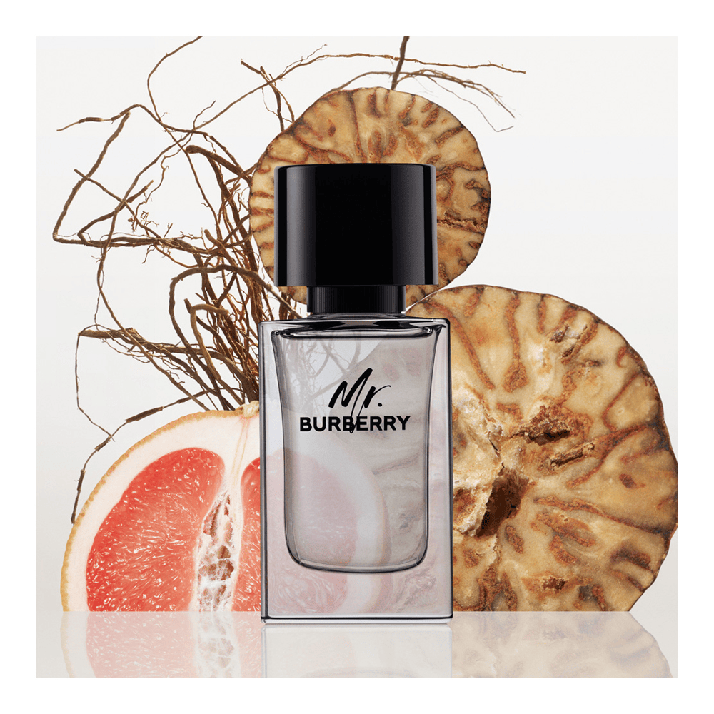 Mr Burberry Eau De Toilette • 50ml
