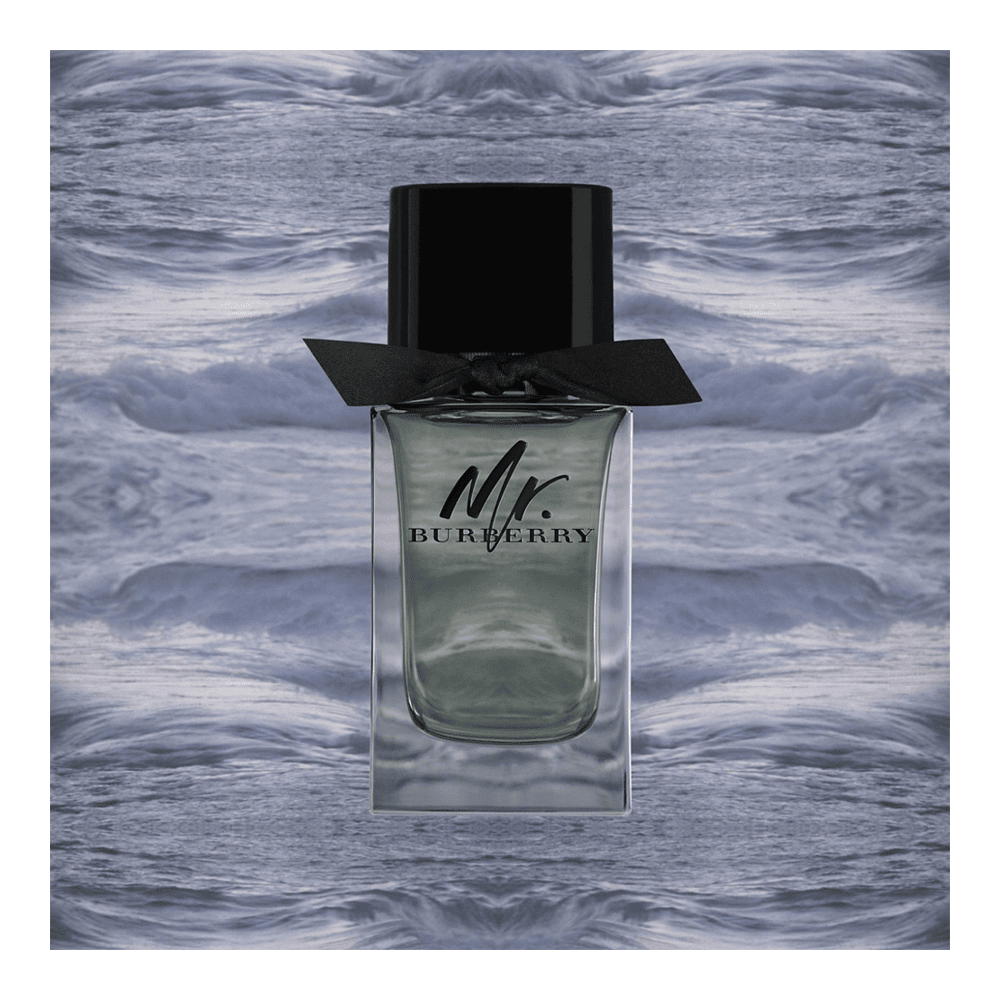 Mr burberry eau de toilette 50ml discount