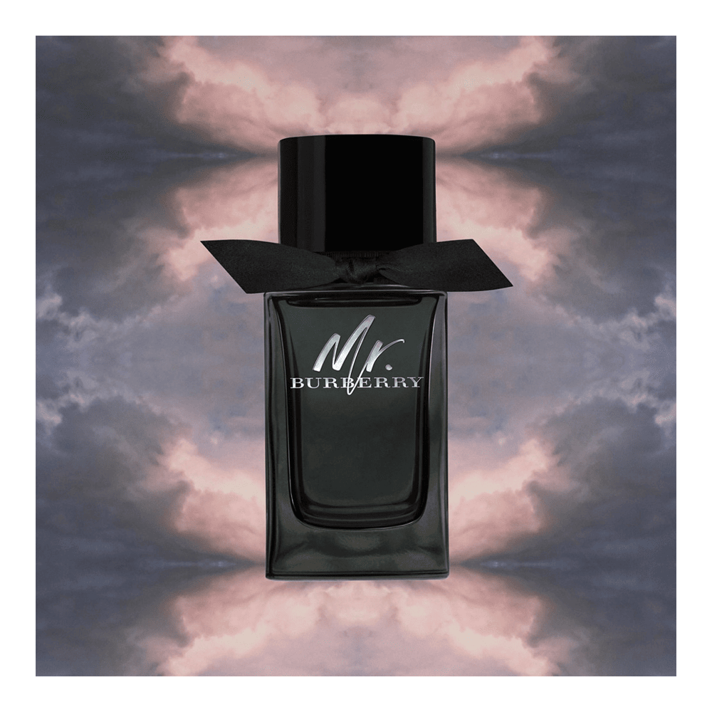 Mr. Burberry Eau De Parfum • 100ml