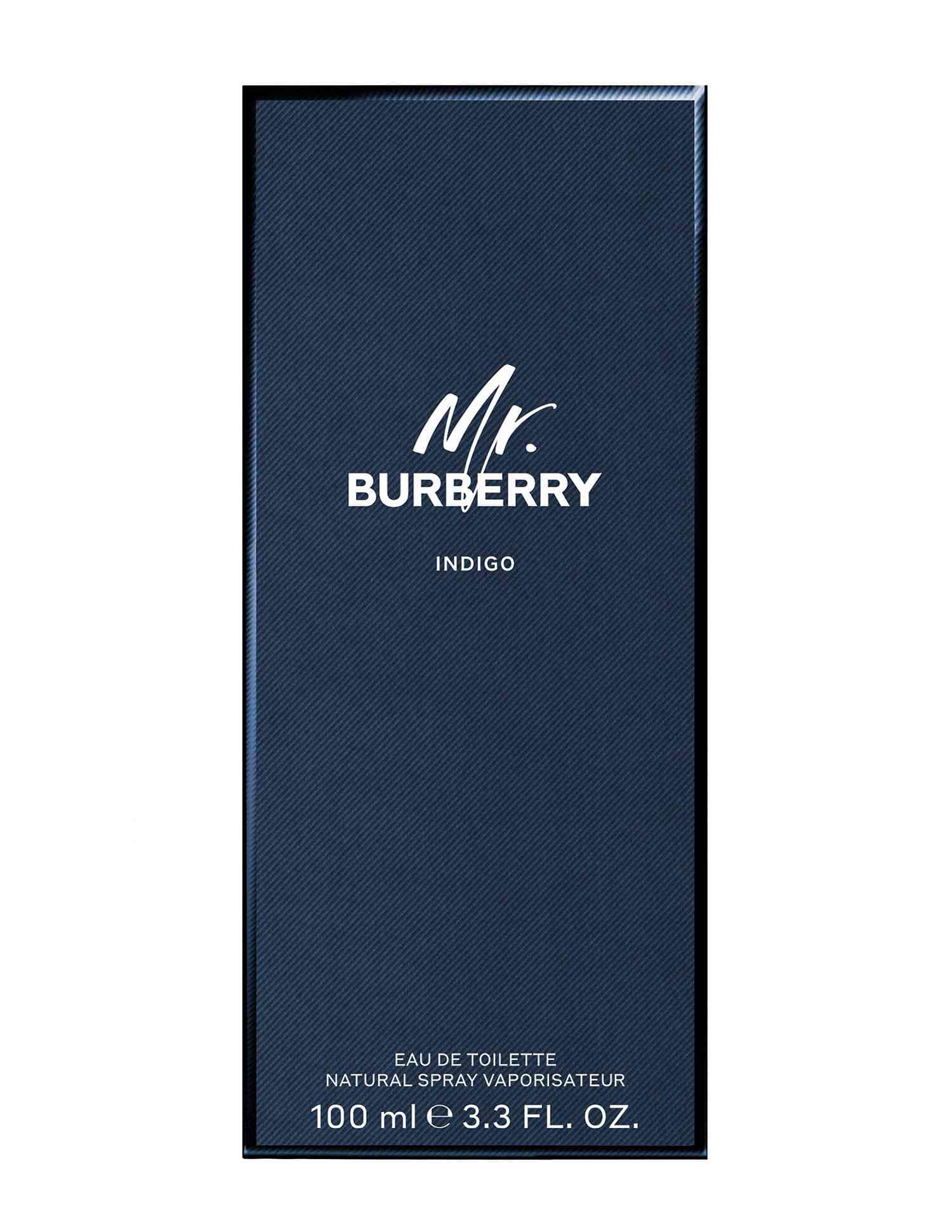 Mr. Burberry Indigo Eau De Toilette 100ml