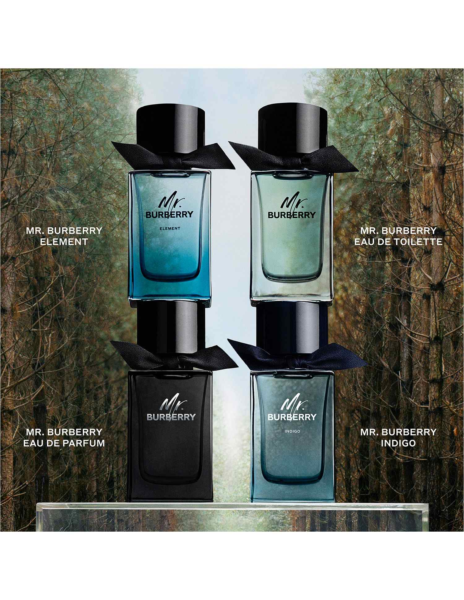 Mr. Burberry Element Eau De Toilette NA