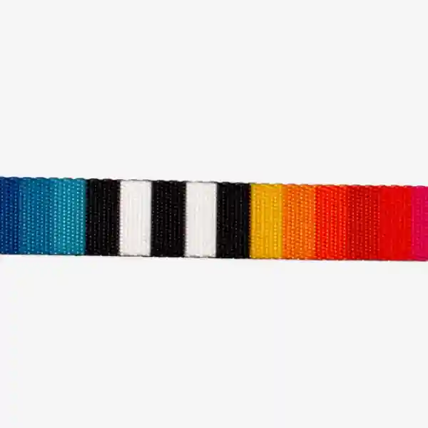 Zee Dog Prisma Collar