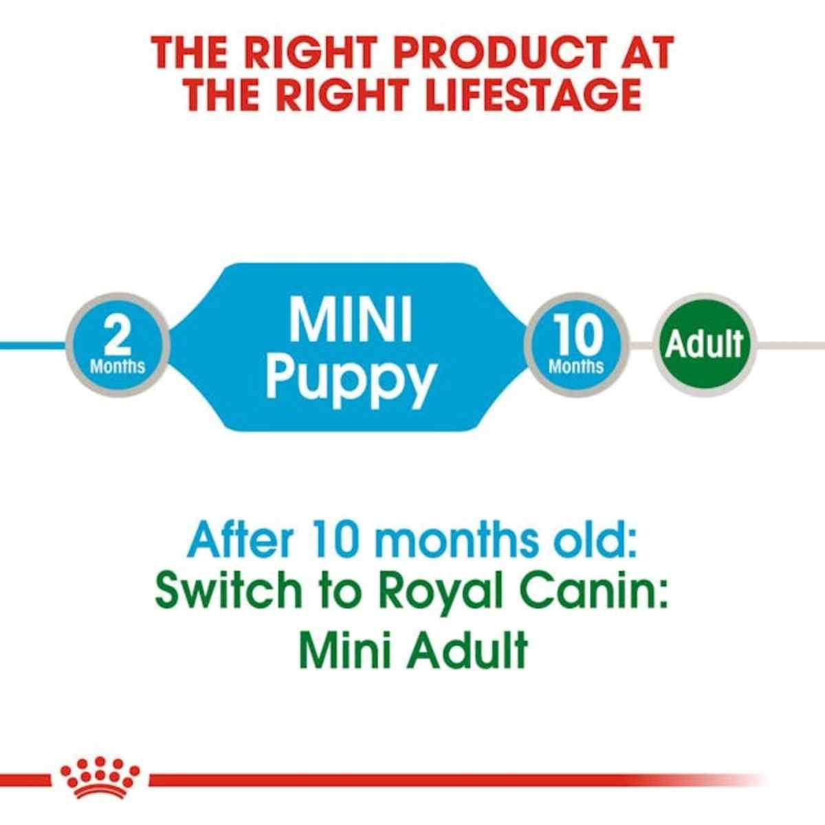 Royal Canin Mini Puppy Wet Dog Food - 85 g