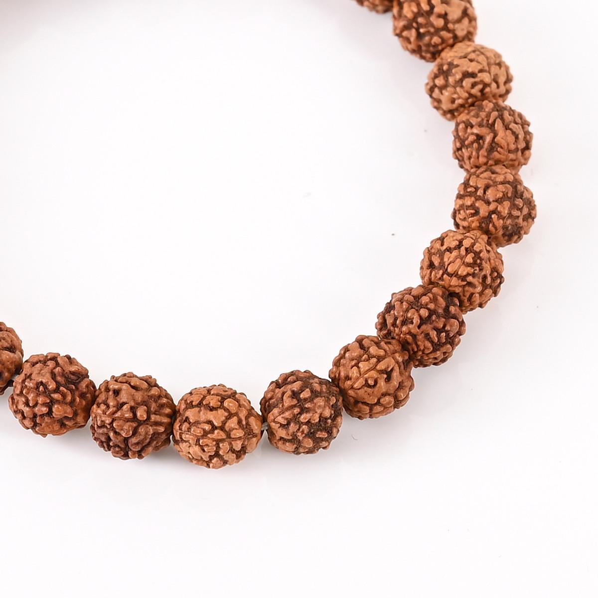 Shiv Ratan Kendra Genuine Rudraksha Bracelet