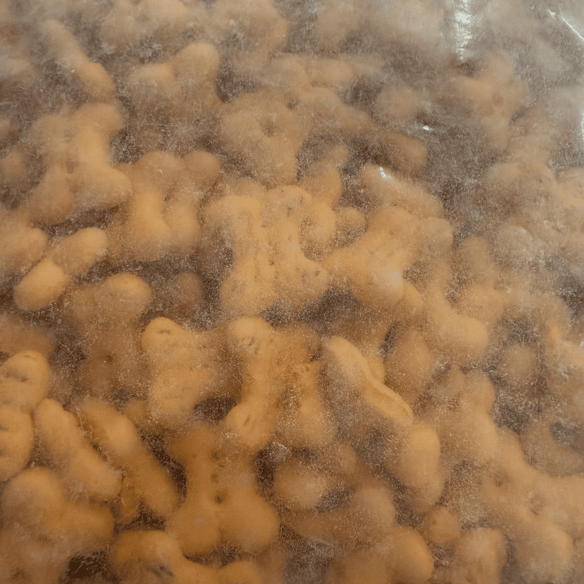 Snackers Chicken Dog Biscuits - 900g